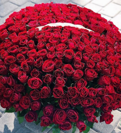 Корзинка из 501 красной розы (под заказ, 5 дней) Фото 394x433